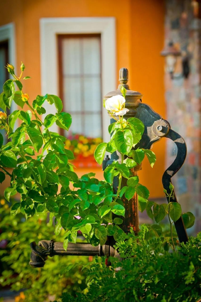 Villa Akacja ウェバ エクステリア 写真